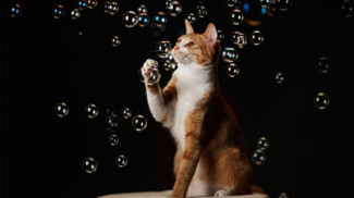 Curiosity-Driven Data Science ^ H04O8Q